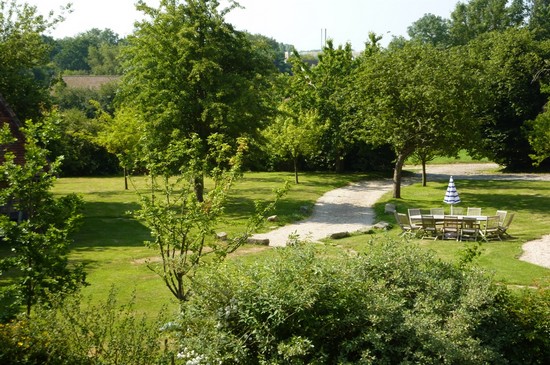 View of the garden